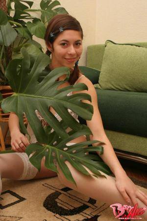 Original 1000 px/ 1500 px