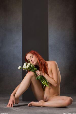 Original 2667 px/ 4000 px