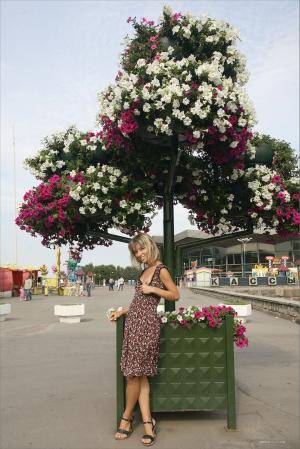 Original 854 px/ 1280 px