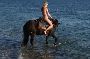 Original 1200 px/ 782 px