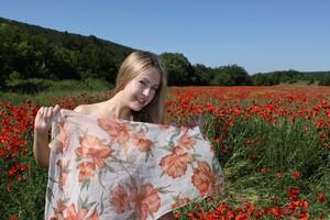 Original 4752 px/ 3168 px