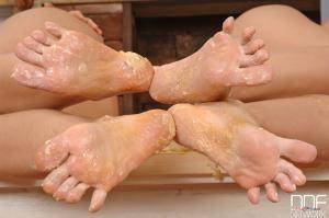 Original 2592 px/ 1721 px