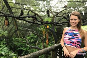 Original 3000 px/ 2000 px