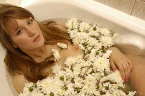 Original 2500 px/ 1662 px