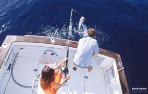 Original 4042 px/ 2570 px