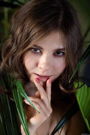 Original 5464 px/ 8192 px