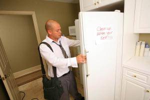 Original 900 px/ 600 px