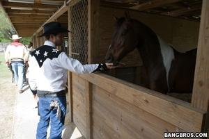 Original 800 px/ 533 px