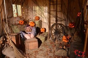 Original 2000 px/ 1335 px