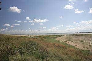 Original 1280 px/ 854 px