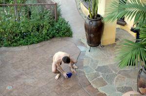 Original 2495 px/ 1663 px