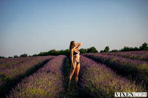 Original 3000 px/ 2000 px