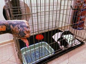 Original 3840 px/ 2880 px