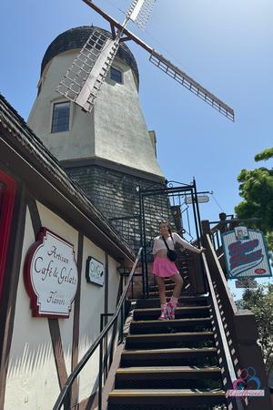 Original 2000 px/ 3000 px