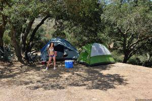 Original 2495 px/ 1663 px