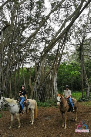 Original 720 px/ 1080 px