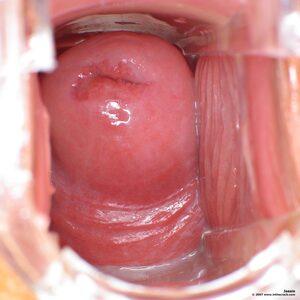 Original 1600 px/ 1600 px