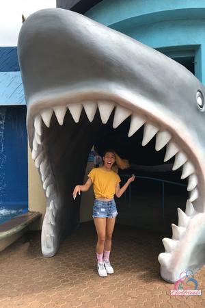 Original 2000 px/ 3000 px