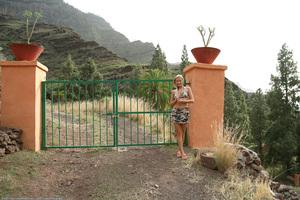 Original 1536 px/ 1024 px