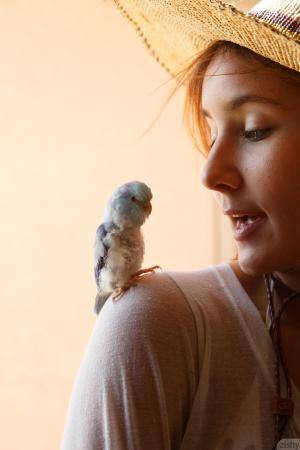 Original 1280 px/ 1920 px