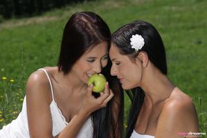 Original 1992 px/ 1328 px