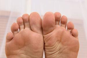 Original 4800 px/ 3203 px