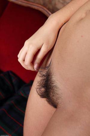 Original 854 px/ 1280 px