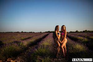 Original 3000 px/ 2000 px