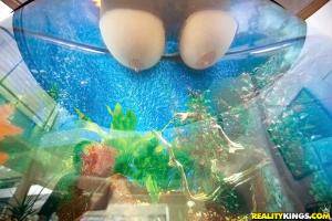 Original 900 px/ 600 px