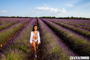 Original 3000 px/ 2000 px