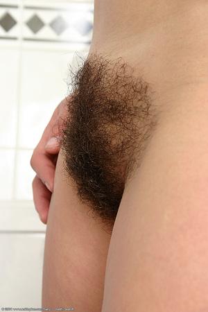 Original 683 px/ 1024 px