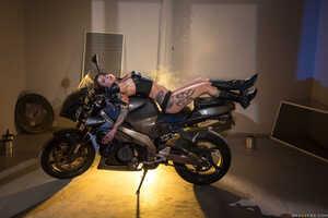 Original 2491 px/ 1663 px