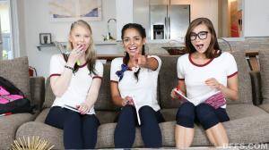 Original 900 px/ 505 px