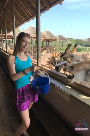 Original 2000 px/ 3000 px