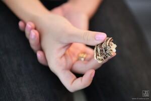 Original 1280 px/ 853 px