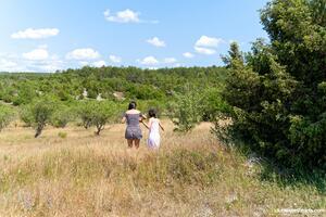 Original 6000 px/ 4000 px