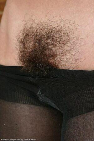 Original 684 px/ 1024 px