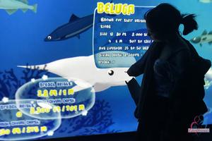 Original 3000 px/ 2000 px