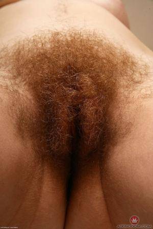 Original 854 px/ 1280 px