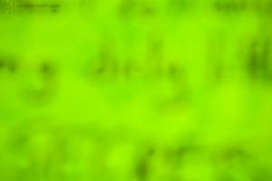 Original 3888 px/ 2592 px