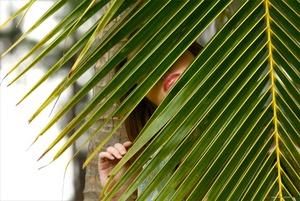 Original 3000 px/ 2008 px