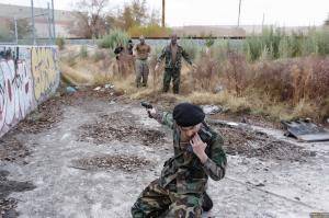 Original 2495 px/ 1663 px