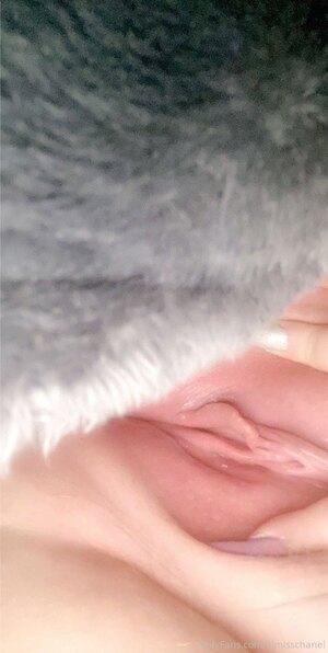 Original 644 px/ 1280 px