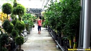 Original 3840 px/ 2160 px