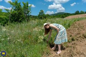 Original 2560 px/ 1707 px