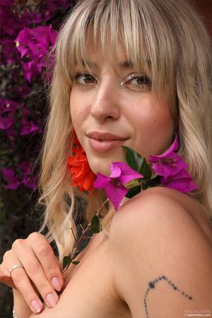 Original 2667 px/ 4000 px