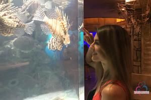 Original 3000 px/ 2000 px