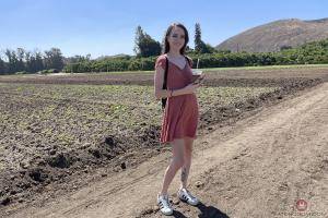 Original 3000 px/ 2000 px