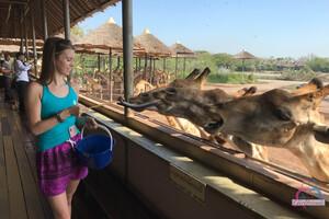 Original 3000 px/ 2000 px