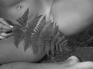 Original 3278 px/ 2451 px